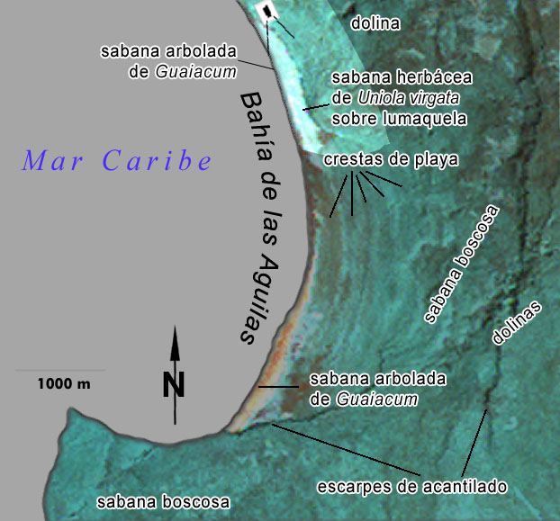 Bahía de las Águilas, descripción técnica desde la Geografía Física |  Geografía Física – República Dominicana